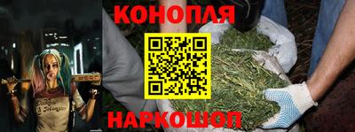 прущие крисы Новодвинск