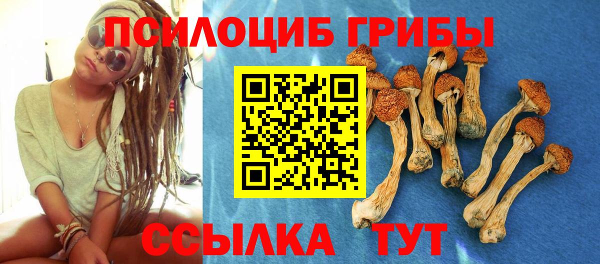 Таганрог  Псилоцибиновые грибы Magic Shrooms  Вход с VPN  Галлюциногенные грибы ЛСД 