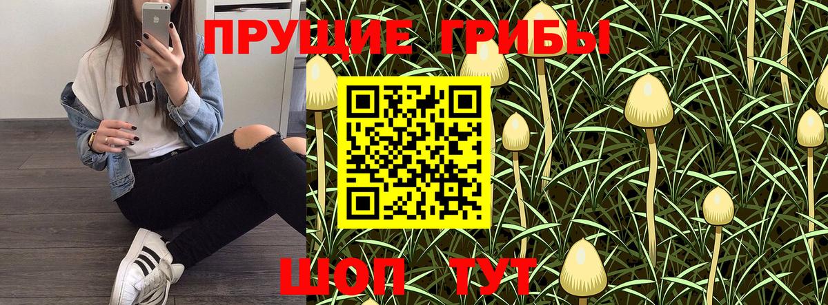 Псилоцибиновые грибы Magic Shrooms Таганрог